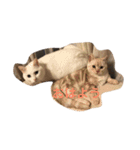 猫な日常（個別スタンプ：7）