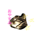 はつ2（個別スタンプ：1）