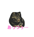 はつ2（個別スタンプ：5）