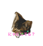 はつ2（個別スタンプ：6）