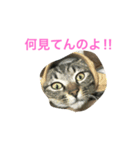 はつ2（個別スタンプ：7）
