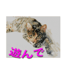 ナナの毎日（個別スタンプ：7）