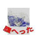 ナナの毎日（個別スタンプ：8）