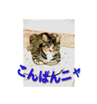 ナナの毎日（個別スタンプ：10）