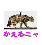 ナナの毎日（個別スタンプ：12）