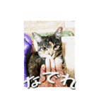 ナナの毎日（個別スタンプ：13）