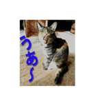 ナナの毎日（個別スタンプ：18）