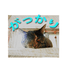 ナナの毎日（個別スタンプ：19）