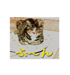 ナナの毎日（個別スタンプ：20）