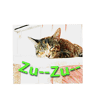 ナナの毎日（個別スタンプ：22）