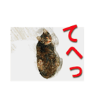 ナナの毎日（個別スタンプ：27）