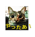 ナナの毎日（個別スタンプ：30）