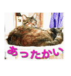 ナナの毎日（個別スタンプ：36）