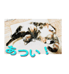 ナナの毎日（個別スタンプ：37）