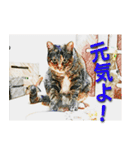 ナナの毎日（個別スタンプ：39）