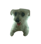 愛犬レディちゃん（個別スタンプ：1）