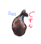 野生のカンガルー（個別スタンプ：4）
