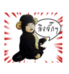 Filmharu（個別スタンプ：38）