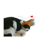 babibu2（個別スタンプ：13）
