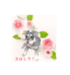 フレンドリーりんちゃん  2（個別スタンプ：5）