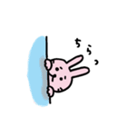 うさぎの  しお（個別スタンプ：5）
