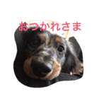 モカ＆ショーン（個別スタンプ：2）