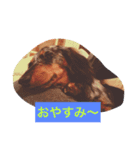 モカ＆ショーン（個別スタンプ：4）