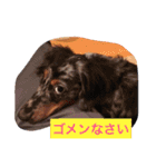 モカ＆ショーン（個別スタンプ：6）