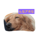 モカ＆ショーン（個別スタンプ：15）