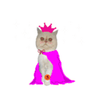Latte Cat (EN)（個別スタンプ：10）