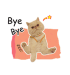 Latte Cat (EN)（個別スタンプ：15）