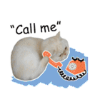 Latte Cat (EN)（個別スタンプ：18）