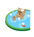 Latte Cat (EN)（個別スタンプ：24）