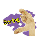 Latte Cat (EN)（個別スタンプ：38）