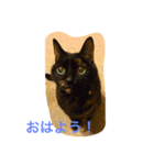 くうchan（個別スタンプ：1）