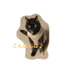 くうchan（個別スタンプ：3）