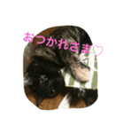 くうchan（個別スタンプ：4）