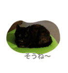 くうchan（個別スタンプ：5）
