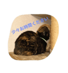 くうchan（個別スタンプ：7）