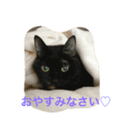 くうchan（個別スタンプ：8）