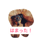 クルクルミニピン2（個別スタンプ：1）