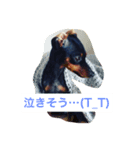 クルクルミニピン2（個別スタンプ：4）