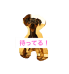 クルクルミニピン2（個別スタンプ：6）