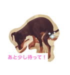 クルクルミニピン2（個別スタンプ：7）