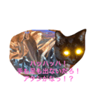 我が家の黒猫、しずく（個別スタンプ：7）