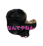 パグのクロヱさんスタンプ（個別スタンプ：23）