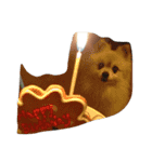 愛犬レオと友達（個別スタンプ：5）