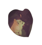 愛犬レオと友達（個別スタンプ：6）