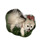 愛犬レオと友達（個別スタンプ：7）