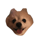 愛犬レオと友達（個別スタンプ：10）